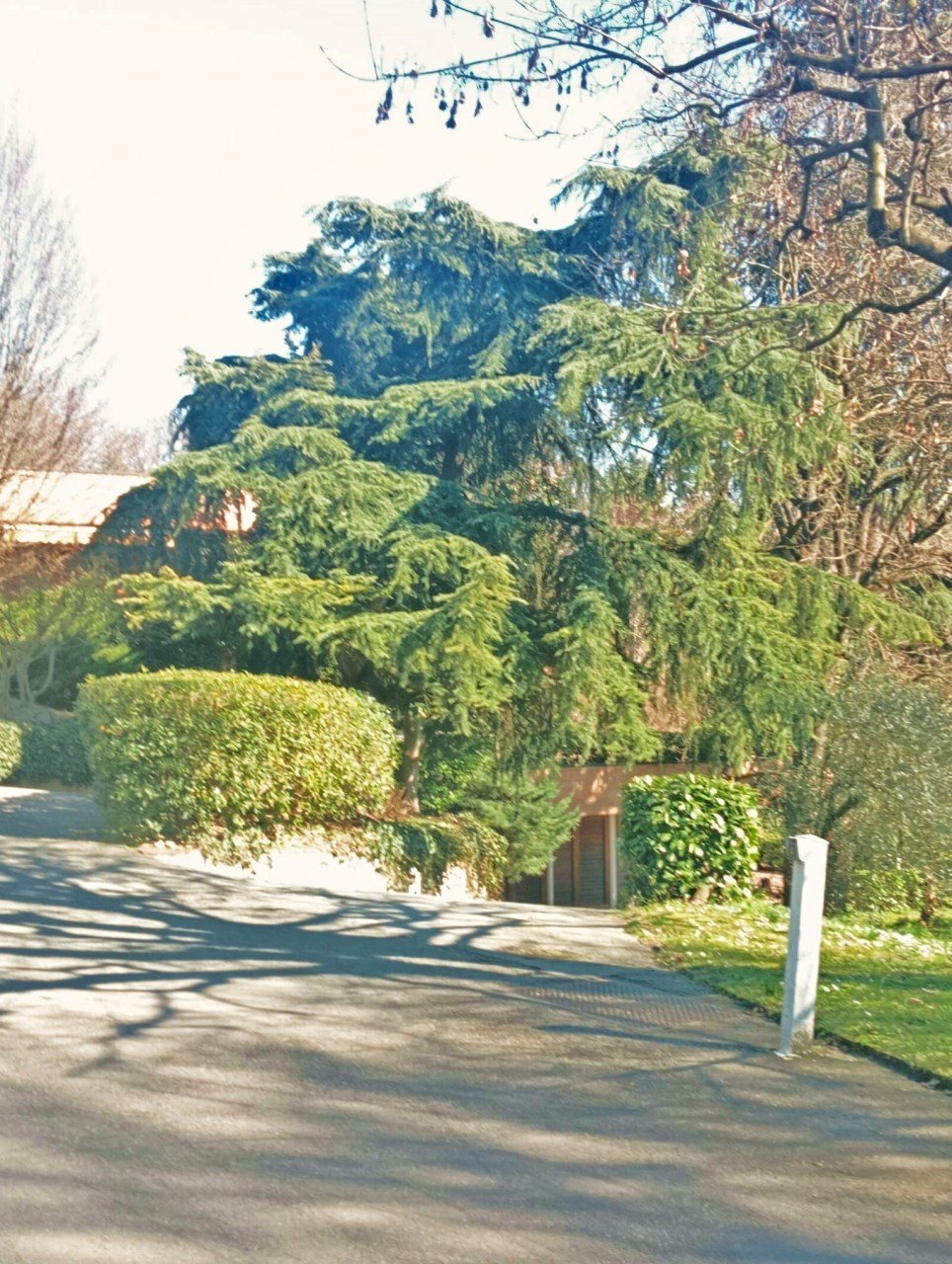 9a987c43-5c1f-4000-b640-1423dc12bc2f.jpg - Apartment Strada Milius - Ronsaglia 14, Moncalieri - photo 3