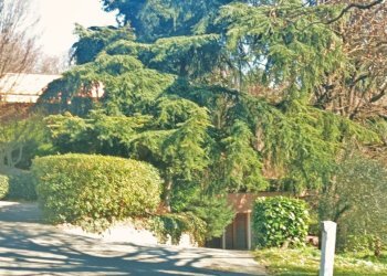 9a987c43-5c1f-4000-b640-1423dc12bc2f.jpg - Appartamento Strada Milius - Ronsaglia 14, Moncalieri - foto 3