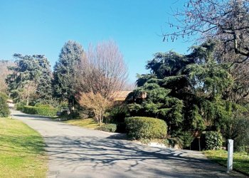 5489b1b3-caa0-46a5-b2d7-7f442c621abd - Copia.jpg - Appartamento Strada Milius - Ronsaglia 14, Moncalieri - foto 4