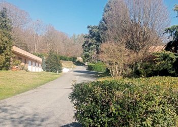 ff1c5007-bd50-4322-97f0-7d24aa981c53 (1).jpg - Appartamento Strada Milius - Ronsaglia 14, Moncalieri - foto 7