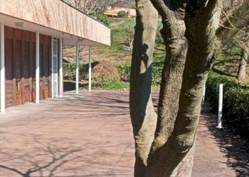 PHOTO-2025-03-03-13-59-44 (2).jpg - Appartamento Strada Milius - Ronsaglia 14, Moncalieri - foto 11