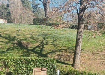 PHOTO-2025-03-03-13-59-45.jpg - Appartamento Strada Milius - Ronsaglia 14, Moncalieri - foto 17