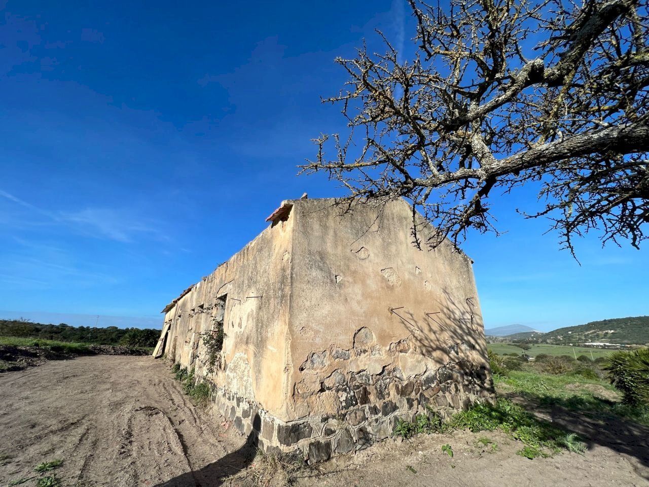 a11a4bee-ce06-43c2-83bc-d71074934e3a.jpg - Rustico Alghero - foto 1