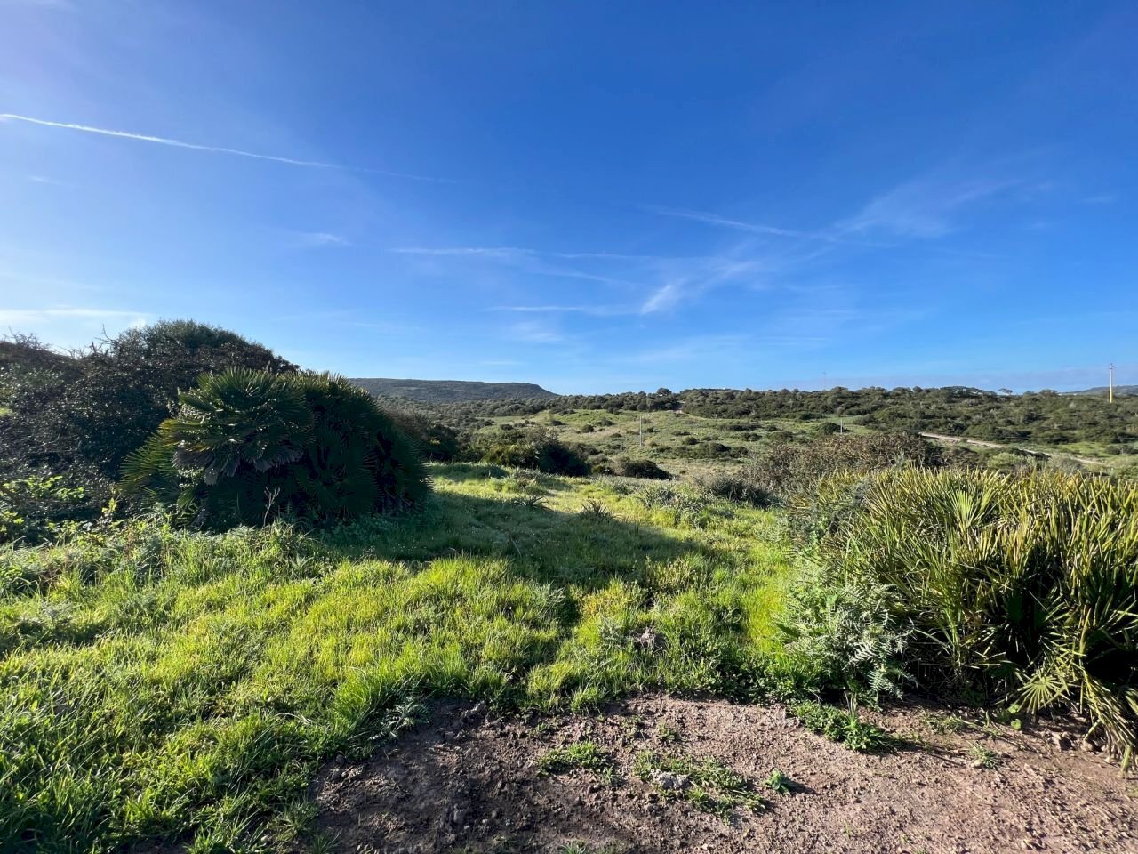 85e92856-0b5c-43d7-9ab6-d757b34ca161.jpg - Rustico Alghero - foto 2