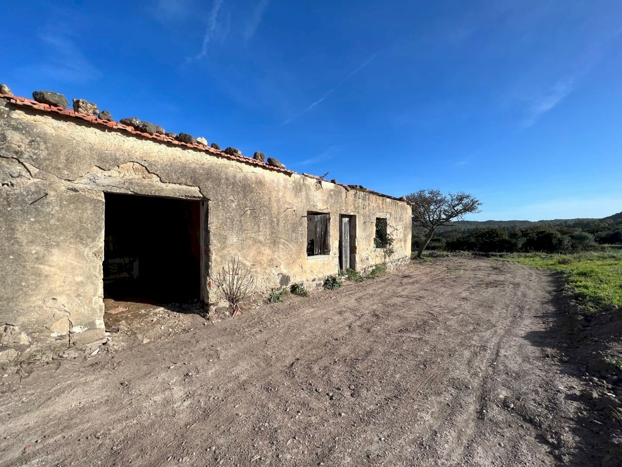 5cb7075c-12ba-47f3-82a0-7e268c268149.jpg - Rustico Alghero - foto 3