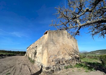 a11a4bee-ce06-43c2-83bc-d71074934e3a.jpg - Rustico Alghero - foto 1