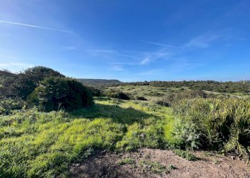 85e92856-0b5c-43d7-9ab6-d757b34ca161.jpg - Rustico Alghero - foto 2