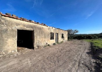 5cb7075c-12ba-47f3-82a0-7e268c268149.jpg - Rustico Alghero - foto 3