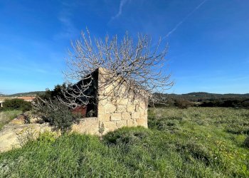 5d28817f-7241-4552-9593-5d1af0dc54c0.jpg - Rustico Alghero - foto 7