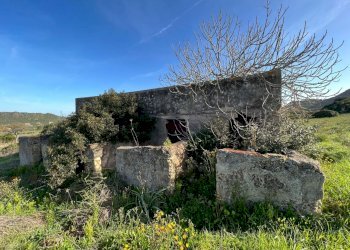 31c5df08-45a6-4ccd-9bba-8e90dcd834b6.jpg - Rustico Alghero - foto 8