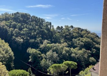 IMG_8202 2.JPG - Porzione di casa Camaiore - foto 5