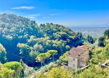 IMG_8203 2.jpg - Porzione di casa Camaiore - foto 6