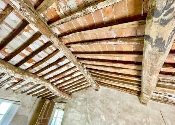 IMG_8206.jpg - Porzione di casa Camaiore - foto 9