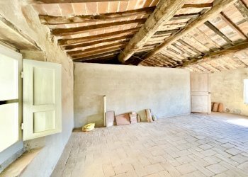 IMG_8207.jpg - Porzione di casa Camaiore - foto 10