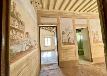 IMG_8209.jpg - Porzione di casa Camaiore - foto 12