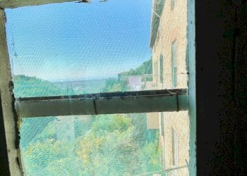 IMG_8218.jpg - Porzione di casa Camaiore - foto 20