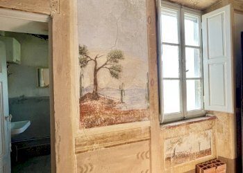 IMG_8220.jpg - Porzione di casa Camaiore - foto 21