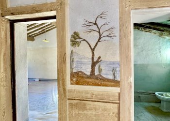 IMG_8222.jpg - Porzione di casa Camaiore - foto 23