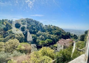 IMG_8225.jpg - Porzione di casa Camaiore - foto 26