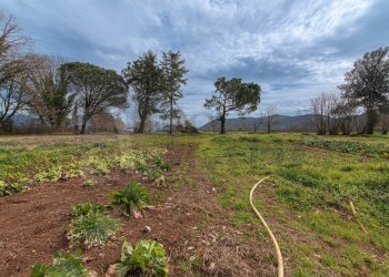 Rustico Via Pennea, Ceprano - foto 10