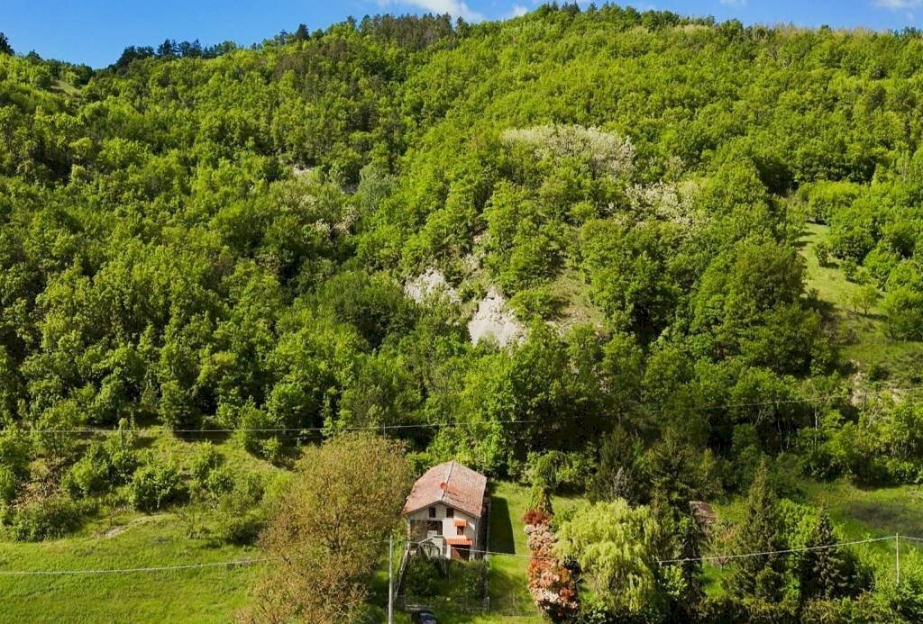 BOSCHI DI PROPRIETA\' DIETRO CASA - Villa San Sebastiano Curone - foto 2
