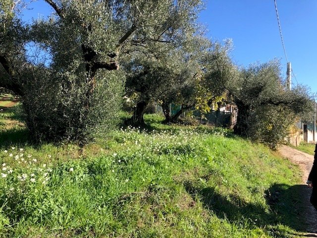 IMG_2711.jpg - Terreno edificabile Via Antonio Gramsci, Marcellina - foto 1