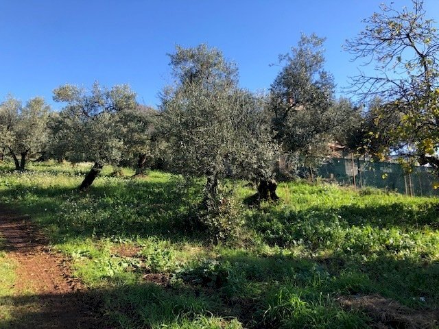 IMG_2713.jpg - Terreno edificabile Via Antonio Gramsci, Marcellina - foto 3