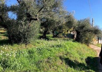 IMG_2711.jpg - Terreno edificabile Via Antonio Gramsci, Marcellina - foto 1