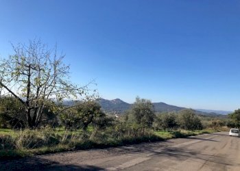 IMG_2727.jpg - Terreno edificabile Via Antonio Gramsci, Marcellina - foto 11