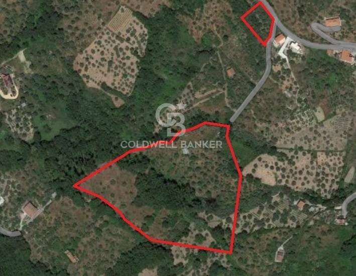 Terreno agricolo via fuonti, Agropoli - foto 2
