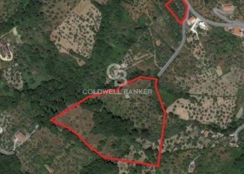 Terreno agricolo via fuonti, Agropoli - foto 2