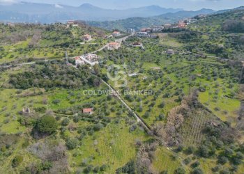 Terreno agricolo via fuonti, Agropoli - foto 3