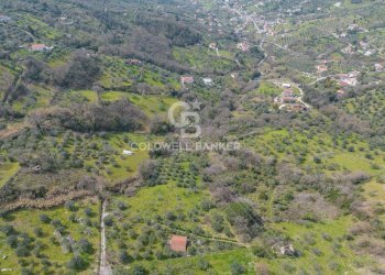 Terreno agricolo via fuonti, Agropoli - foto 5