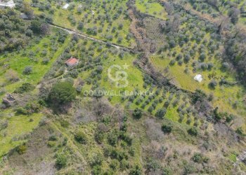 Terreno agricolo via fuonti, Agropoli - foto 8