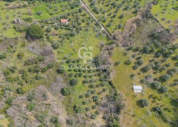 Terreno agricolo via fuonti, Agropoli - foto 9
