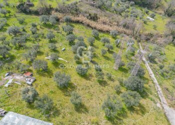 Terreno agricolo via fuonti, Agropoli - foto 13