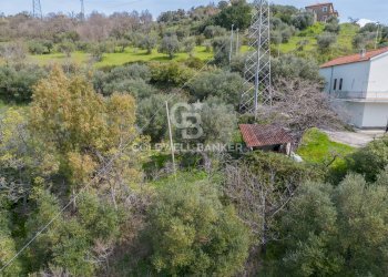 Terreno agricolo via fuonti, Agropoli - foto 15