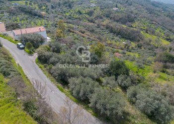 Terreno agricolo via fuonti, Agropoli - foto 17