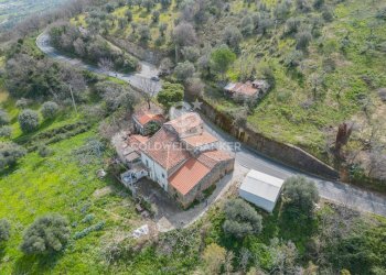 Terreno agricolo Agropoli - foto 5