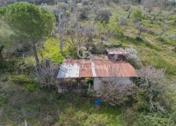 Terreno agricolo Agropoli - foto 6