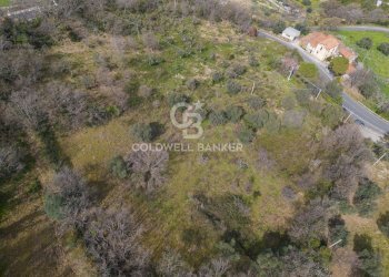 Terreno agricolo Agropoli - foto 7