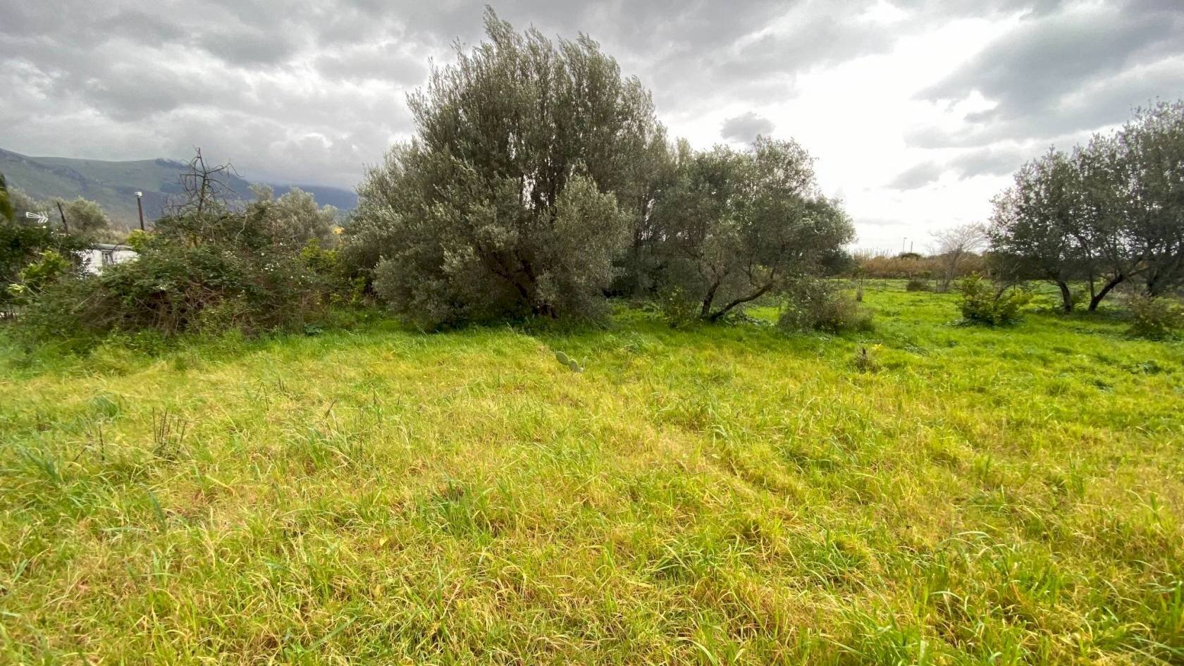 Terreno agricolo via Strada Statale 113 Est, 238, Carini - foto 2