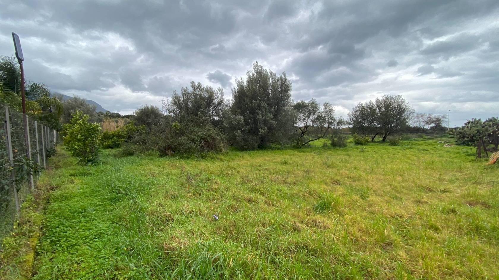 Terreno agricolo via Strada Statale 113 Est, 238, Carini - foto 3