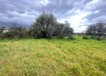 Terreno agricolo via Strada Statale 113 Est, 238, Carini - foto 1