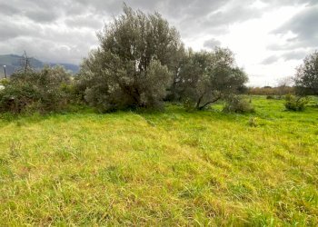 Terreno agricolo via Strada Statale 113 Est, 238, Carini - foto 2