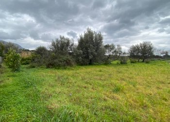 Terreno agricolo via Strada Statale 113 Est, 238, Carini - foto 3