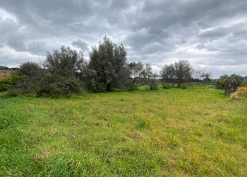 Terreno agricolo via Strada Statale 113 Est, 238, Carini - foto 4