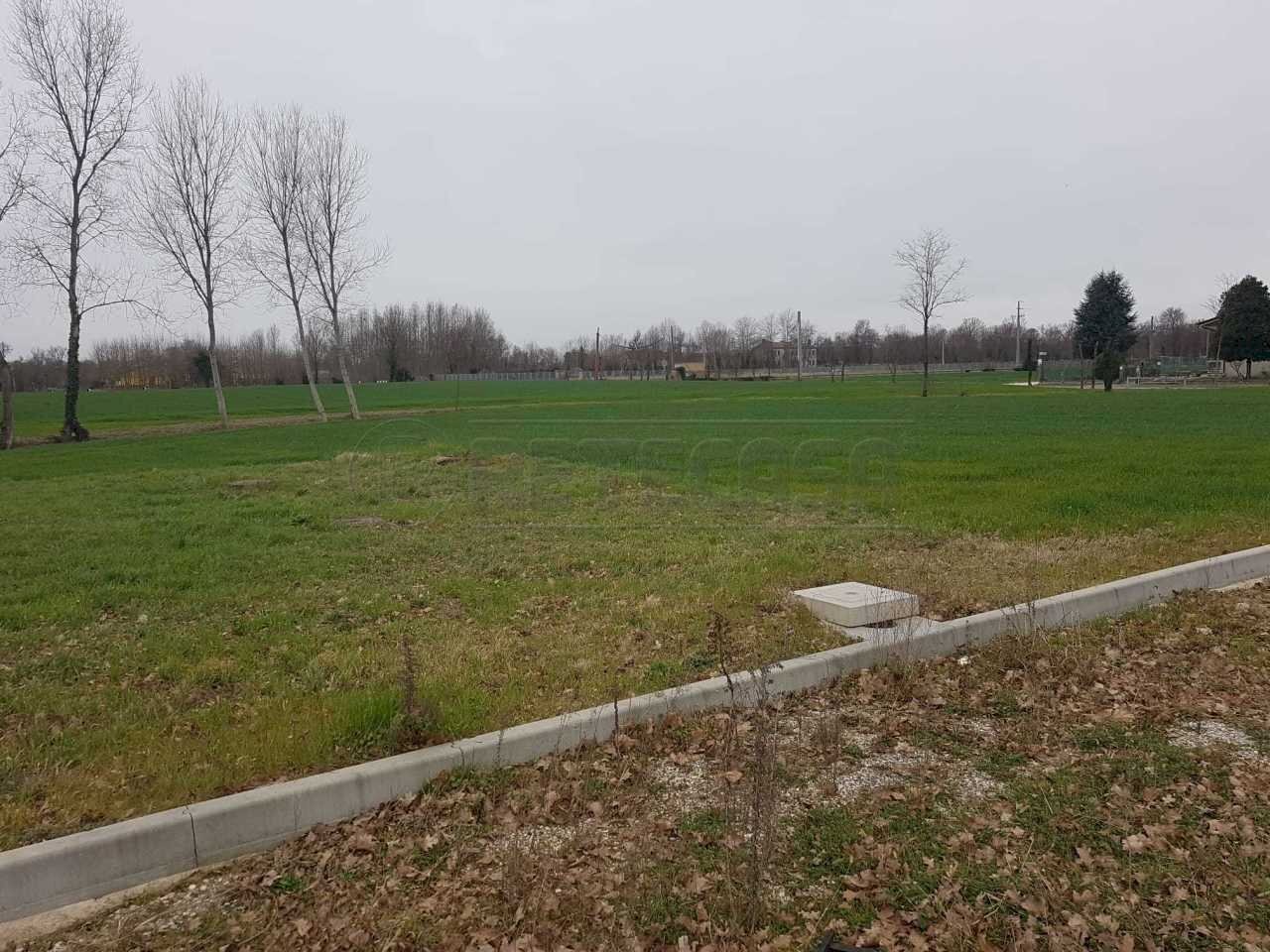 5.jpg - Terreno edificabile Noale - foto 3