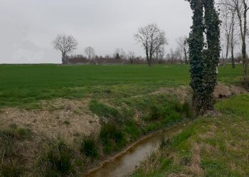 1.jpg - Terreno edificabile Noale - foto 1