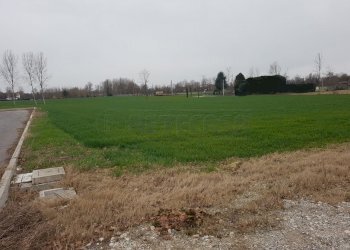 3.jpg - Terreno edificabile Noale - foto 2